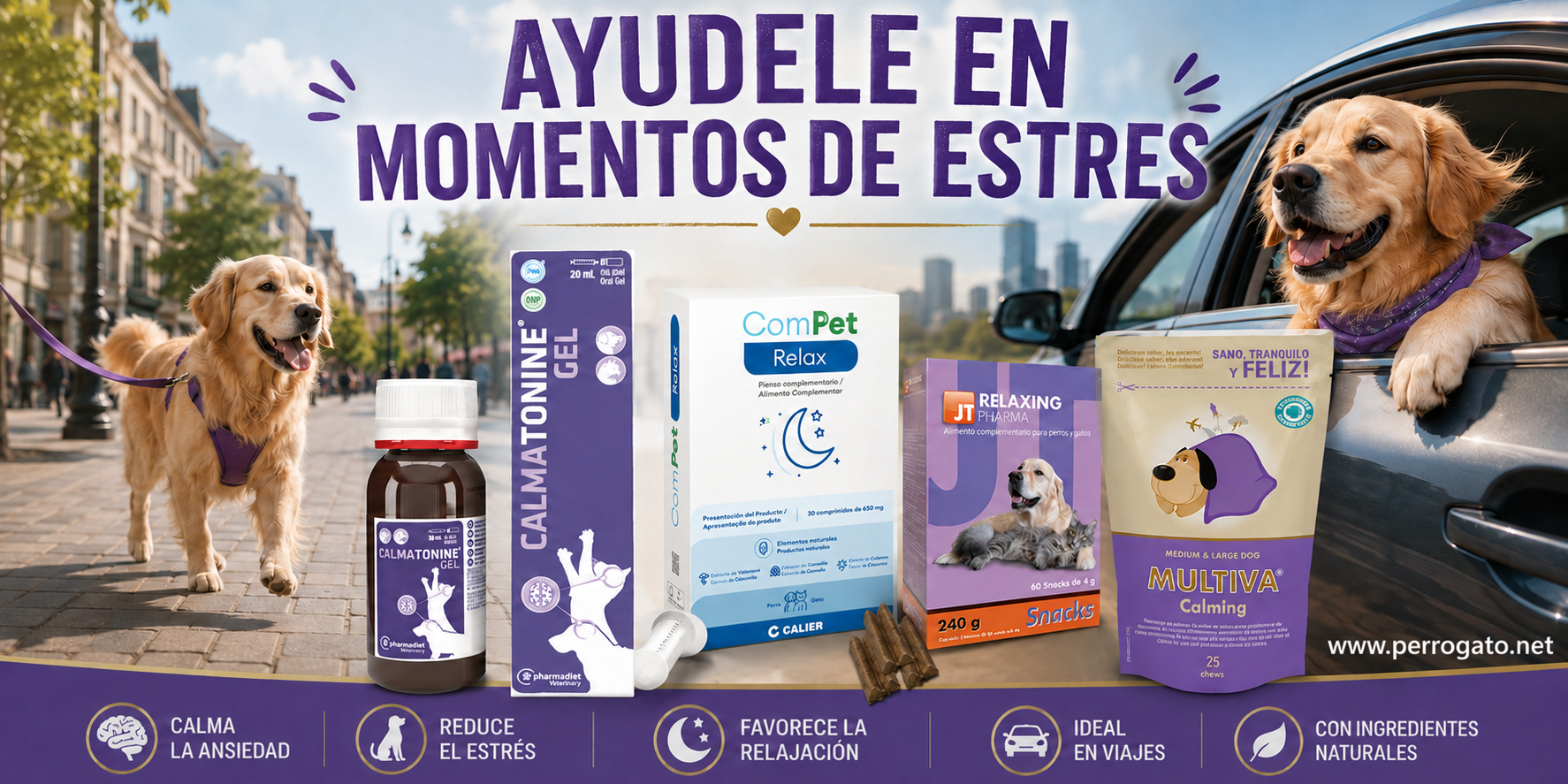 ANTIESTRES PARA VIAJES Y CAMBIOS